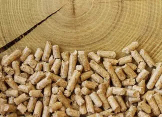 Pourquoi le choix des pellets est-il si important ? pellets