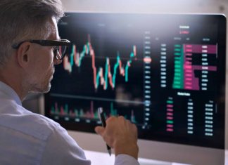 Black swans : comprendre leur impact sur le marché crypto