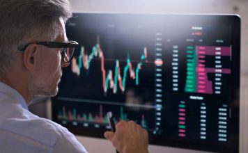 Black swans : comprendre leur impact sur le marché crypto