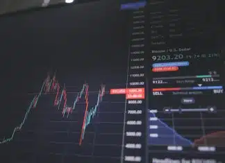 Comprendre les fluctuations des marchés financiers